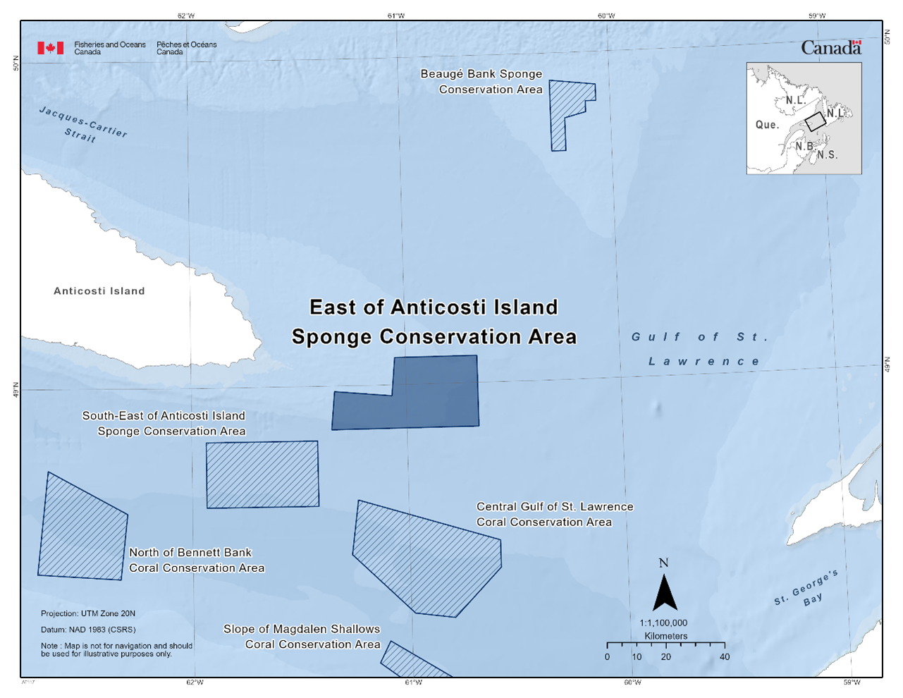 Map of the East of Anticosti Island Sponge Conservation Area in dark blue. The map also features the other marine refuges nearby with dark blue diagonal lines across (Beaugé Bank Sponge Conservation Area, South-East of Anticosti Island Sponge Conservation Area, North of Bennett Bank Coral Conservation Area, Slope of Magdalen Shallows Coral Conservation Area, and the Central Gulf of St. Lawrence Coral Conservation Area).
