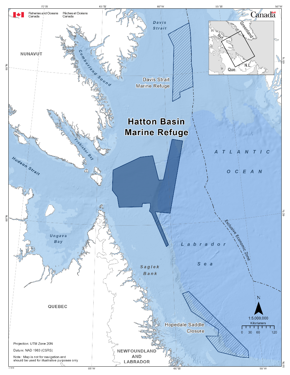 Map of the Hatton Basin Marine Refuge in dark blue. The map also features other marine refuges nearby with dark blue diagonal lines (Davis Strait Marine Refuge & Hopedale Saddle Closure). 