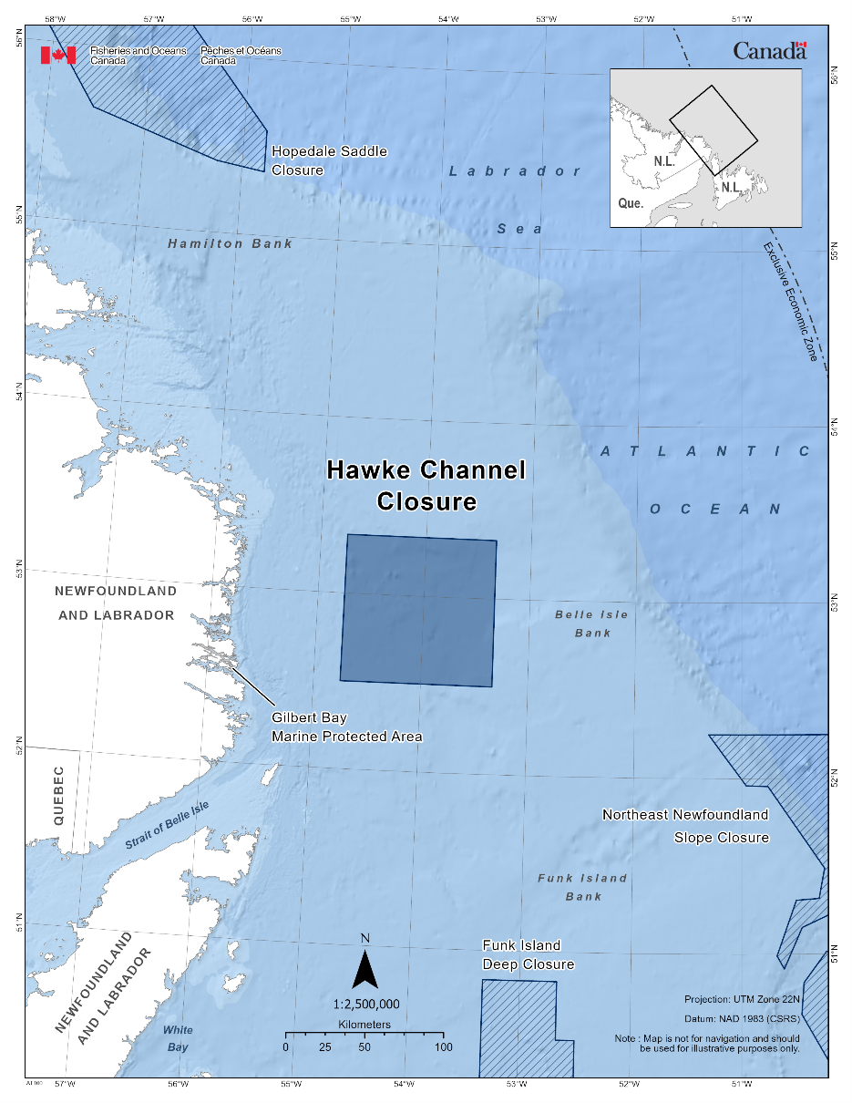 Map of the Hawke Channel Closure in dark blue. The map also includes the other marine refuges nearby with dark blue diagonal lines (Hopedale Saddle Closure, Funk Island Deep Closure, Northeast Newfoundland Slope Closure). 