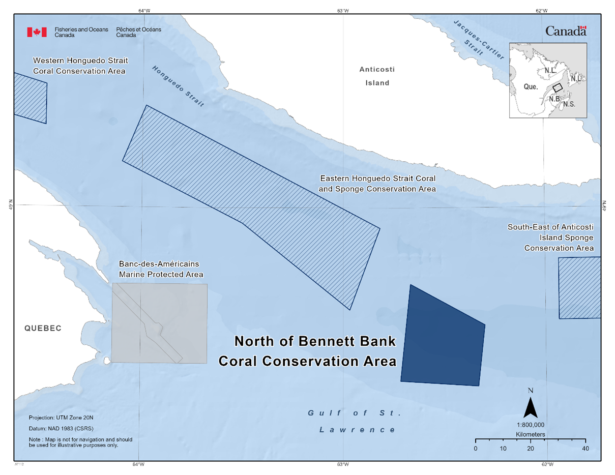 Map of the North of Bennett Bank Coral Conservation Area depicted in dark blue. The map also features the marine refuges nearby with dark blue diagonal lines (Western Honguedo Strait Coral Conservation Area, Eastern Honguedo Strait Coral and Sponge Conservation Area, South-East of Anticosti Island Sponge Conservation Area).