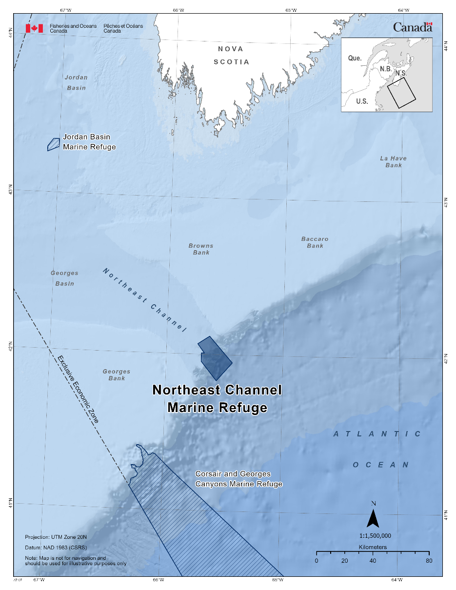 Map of the Northeast Channel Marine Refuge in dark blue. The map also features other marine refuges nearby with dark blue diagonal lines (Jordan Basin Marine Refuge & Corsair and Georges Canyon Marine Refuge). 