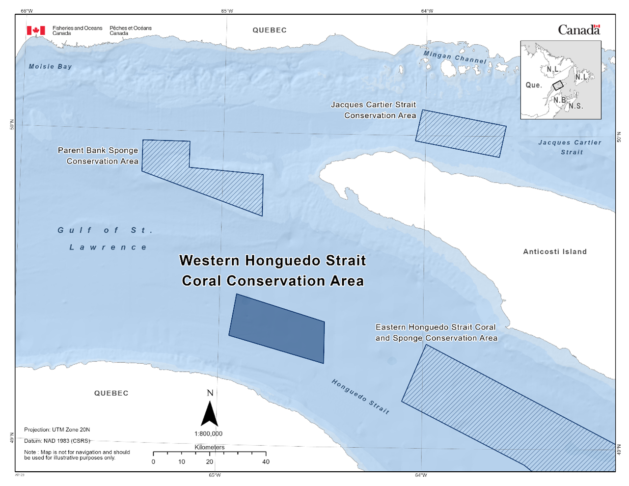 Map of the Western Honguedo Strait Coral Conservation Area in dark blue. The map also features other marine refuges nearby with dark blue diagonal lines (Jacques Cartier Strait Conservation Area, Parent Bank Sponge Conservation Area, Eastern Honguedo Strait Coral and Sponge Conservation Area). 