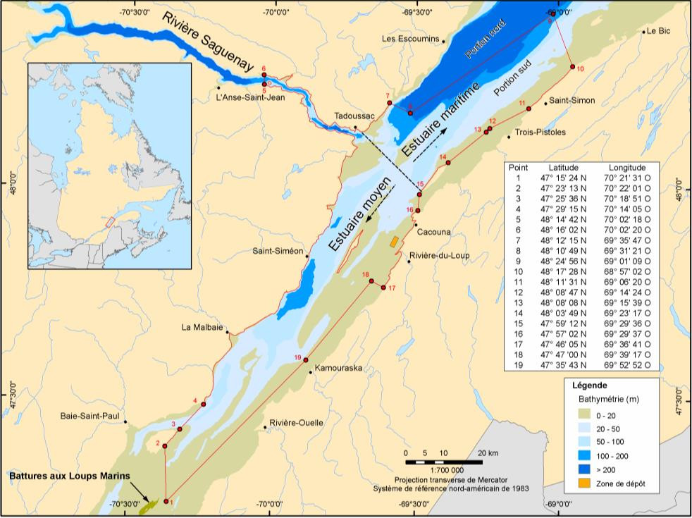 Carte carrée colorée illustrant l'habitat essentiel du béluga de l'estuaire
  du Saint-Laurent, qui s'étend des battures aux Loups Marins jusqu'à la portion
  sud de l'estuaire au large de Saint-Simon, avec toutes les coordonnées. 