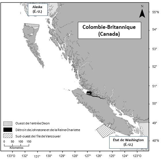 Carte rectangulaire grise, noire et blanche illustrant les limites de l'habitat essentiel des épaulards résidents du nord, en Colombie-Britannique au Canada, et en Alaska et dans l'état de Washington aux États-Unis. 