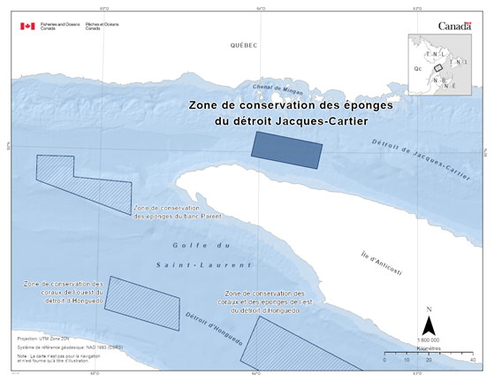 Carte de la zone de conservation des corail et des éponge du détroit d'Honguedo oriental représentée en bleu foncé. La carte indique également les refuges marins voisins par des lignes diagonales bleu foncé (zone de conservation du corail du détroit d'Honguedo occidental et zone de conservation du corail du nord du banc de Bennett).