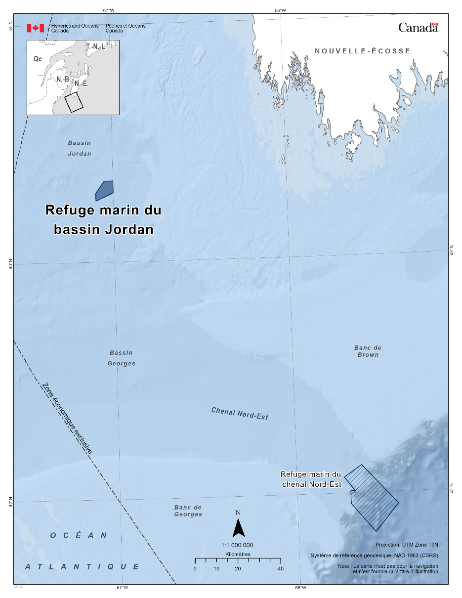Carte du refuge marin du bassin Jordan en bleu foncé. La carte présente également les refuges marins à proximité avec des lignes diagonales bleu foncé (refuge marin du chenal Nord-Est). 