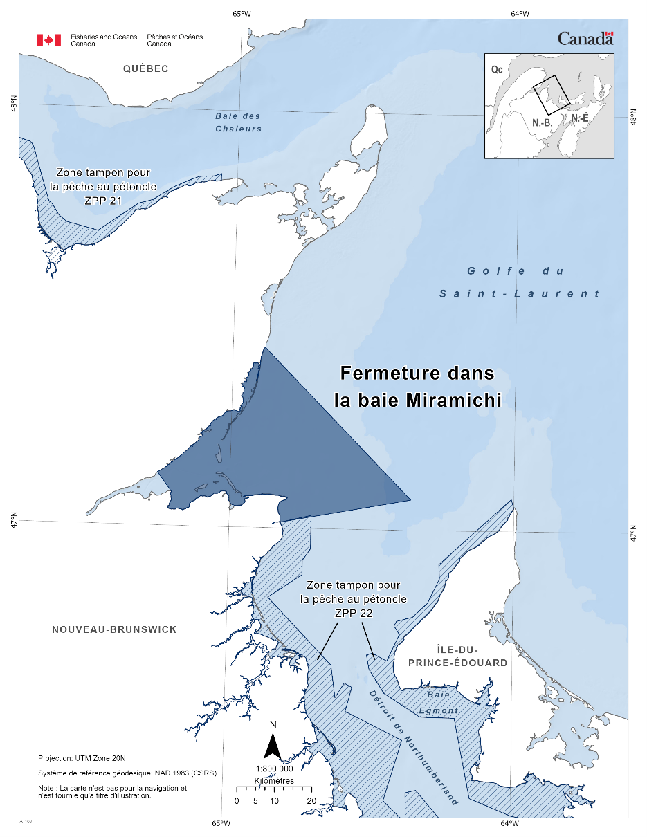 Carte de la fermeture de la baie de Miramichi en bleu foncé. La carte montre également les refuges marins situés à proximité avec des lignes diagonales bleu foncé (zone tampon pour le pétoncle ZPP 21 et ZPP 22).
