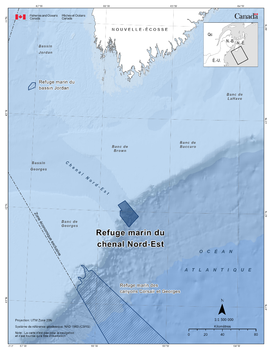 Carte du refuge marin du chenal Nord-Est en bleu foncé. La carte présente également d'autres refuges marins à proximité avec des lignes diagonales bleu foncé (le refuge marin du bassin Jordan & le refuge marin des canyons Corsair et Georges). 
