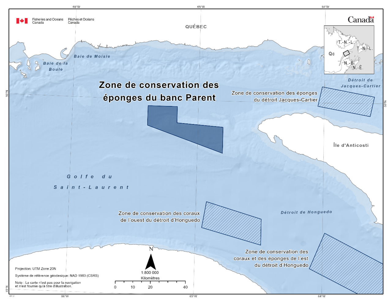Carte de montre la zone de conservation des éponges du banc Parent représentée en bleu foncé. La carte indique également les refuges marins situés à proximité par des lignes diagonales bleu foncé (zone de conservation du corail du détroit d'Honguedo occidental, zone de conservation du corail et de l'éponge du détroit d'Honguedo oriental, zone de conservation de l'éponge du détroit de Jacques Cartier).