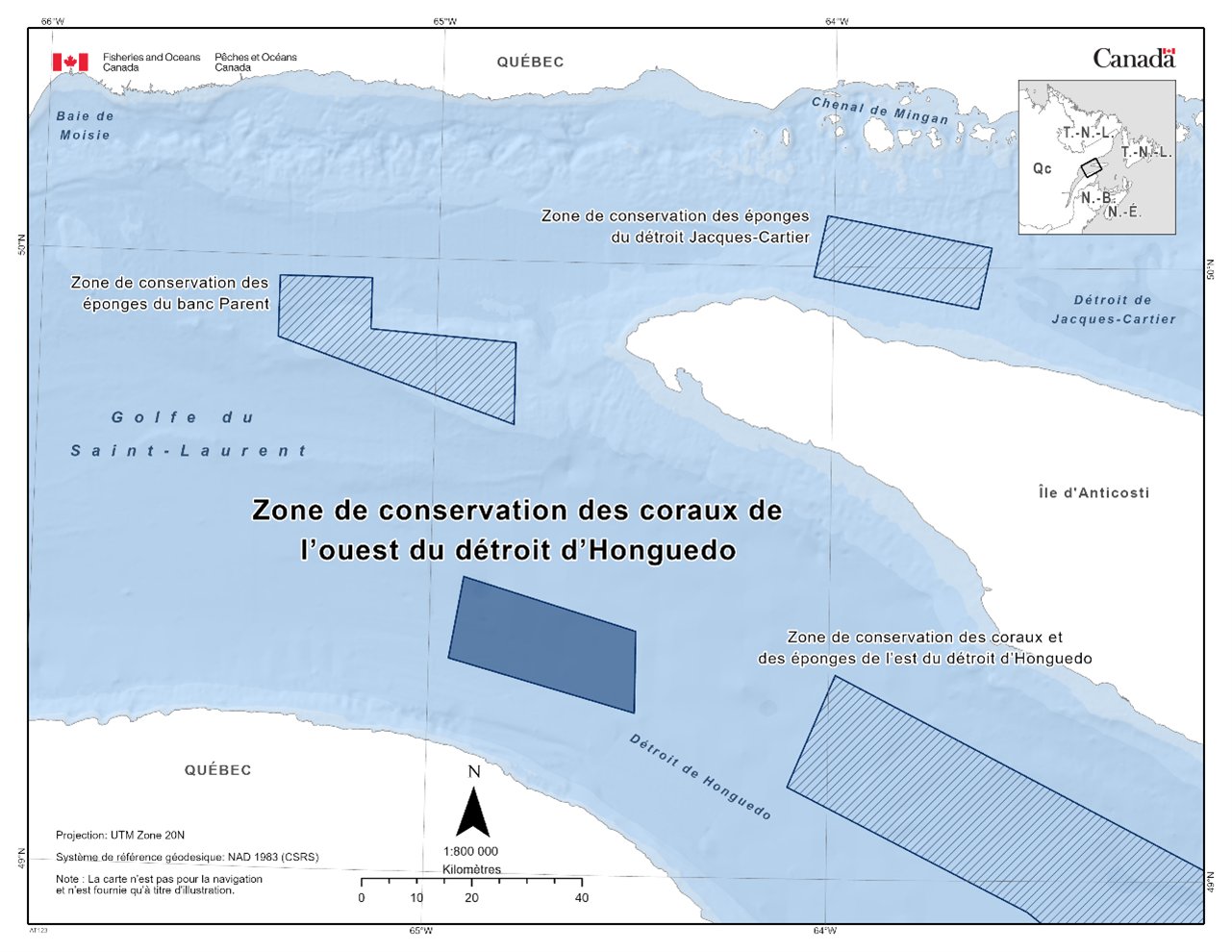 Carte de la zone de conservation des coraux de l’ouest du détroit d’Honguedo en bleu foncé. La carte présente également d'autres refuges marins à proximité avec des lignes diagonales bleu foncé (zone de conservation du détroit de Jacques Cartier, zone de conservation de l'éponge du banc Parent, zone de conservation du corail et de l'éponge du détroit d'Honguedo oriental). 